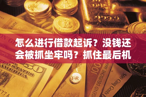 武汉怎么进行借款起诉？没钱还会被抓坐牢吗？抓住最后机会！