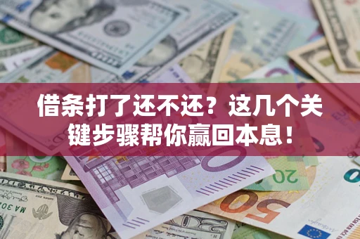 武汉借条打了还不还？这几个关键步骤帮你赢回本息！