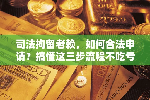 武汉司法拘留老赖，如何合法申请？搞懂这三步流程不吃亏！