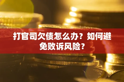 武汉打官司欠债怎么办？如何避免败诉风险？