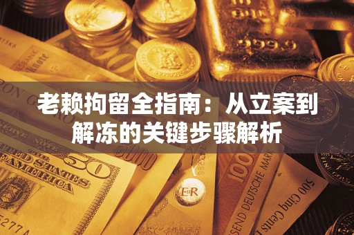 武汉老赖拘留全指南：从立案到解冻的关键步骤解析