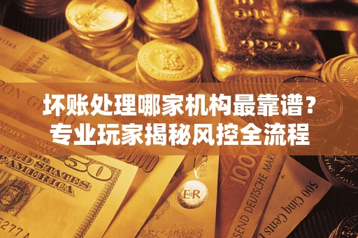 武汉坏账处理哪家机构最靠谱？专业玩家揭秘风控全流程